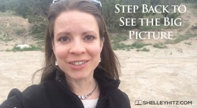 Step Back and See the Big Picture